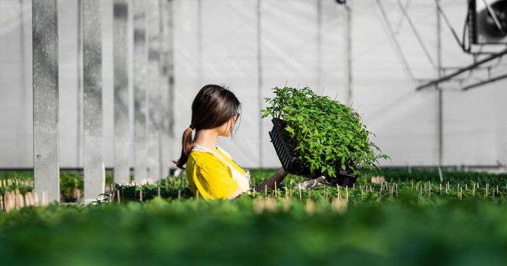 Ημέρα Καριέρας AGRIS στην Αλεξάνδρεια